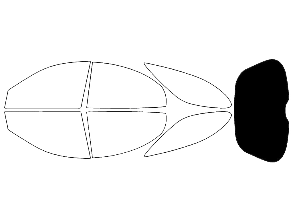 Rear Windshield - 5%