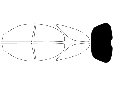 Rear Windshield - 5%