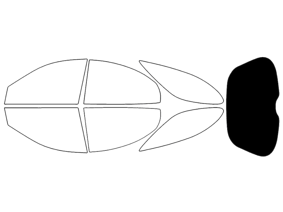 Rear Windshield - 5%
