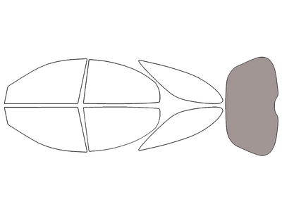 Rear Windshield - 50%