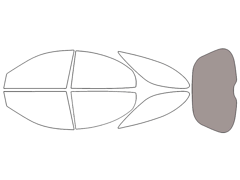 Rear Windshield - 50%