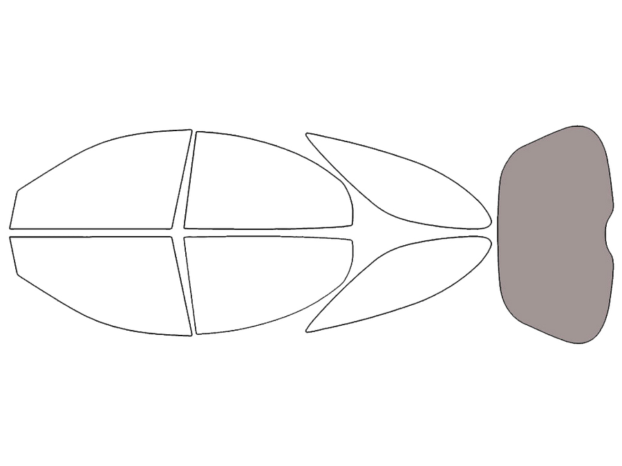 Rear Windshield - 50%