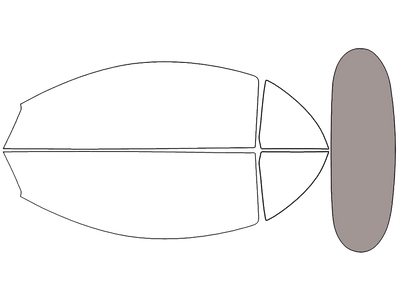 Rear Windshield - 45%