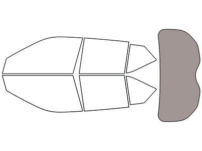 Rear Windshield - 5%