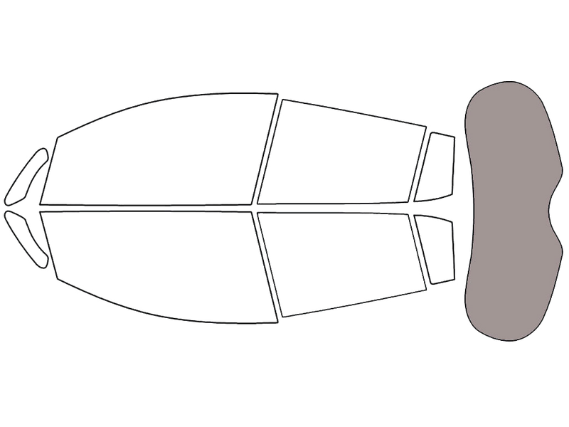 Rear Windshield - 45%