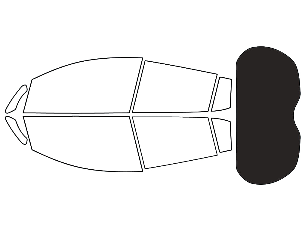Rear Windshield - 20%