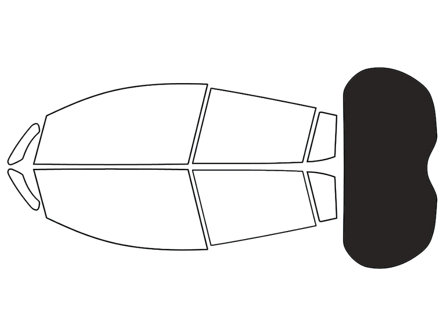 Rear Windshield - 20%