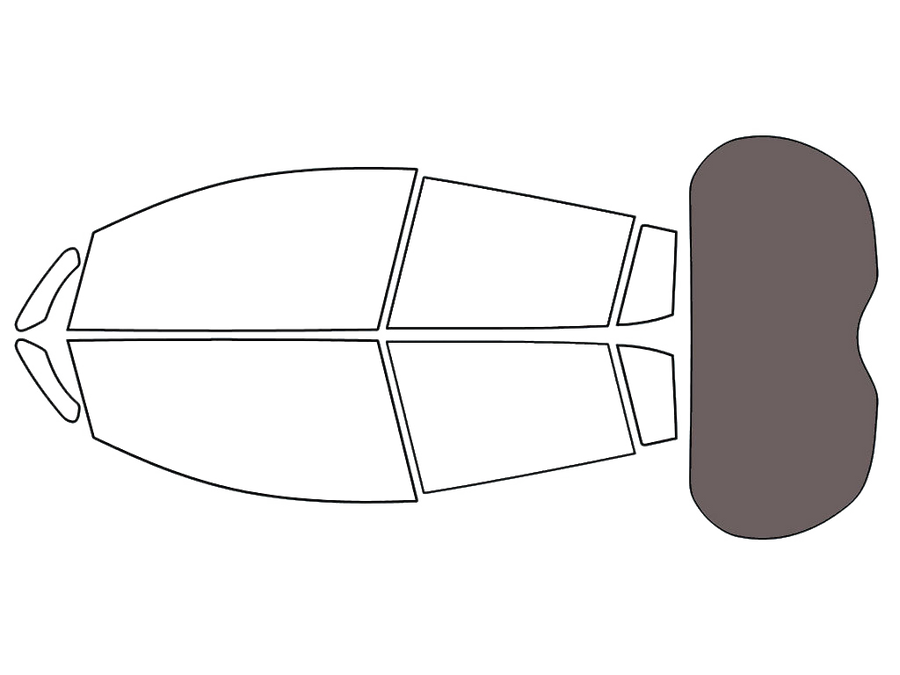 Rear Windshield - 35%