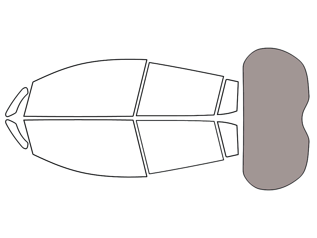 Rear Windshield - 50%
