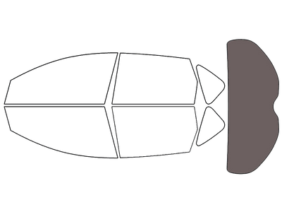 Rear Windshield - 30%
