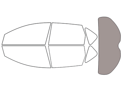 Rear Windshield - 50%