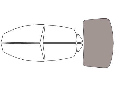 Rear Windshield - 45%