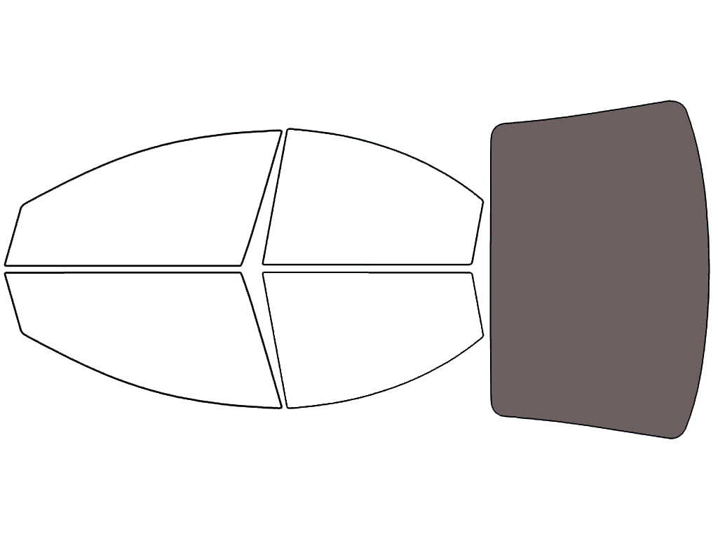 Rear Windshield - 45%