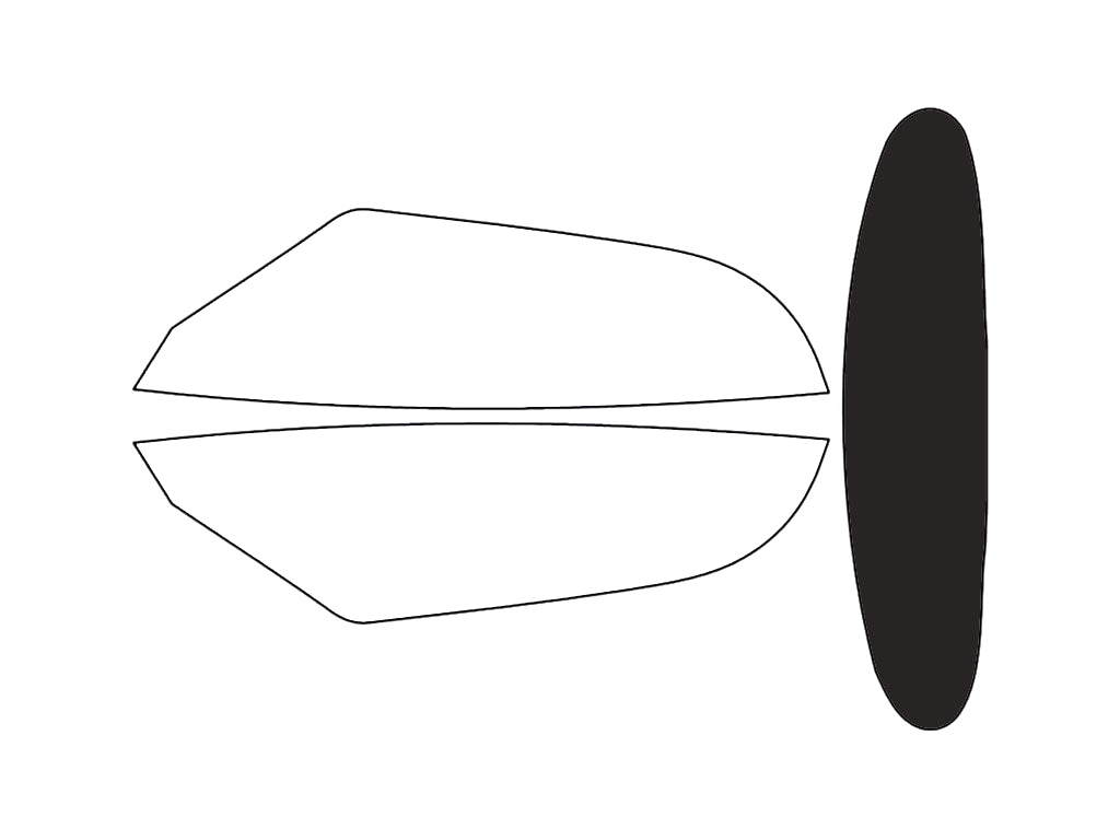 Rear Windshield - 15%