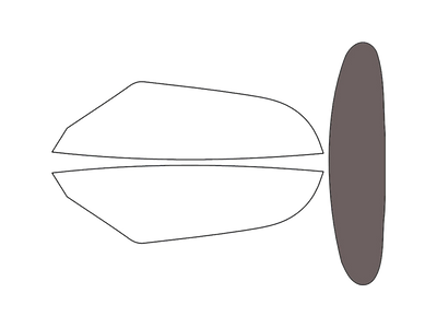 Rear Windshield - 30%
