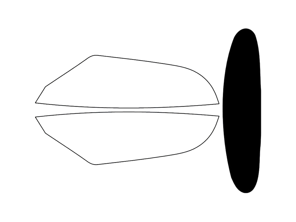 Rear Windshield - 5%