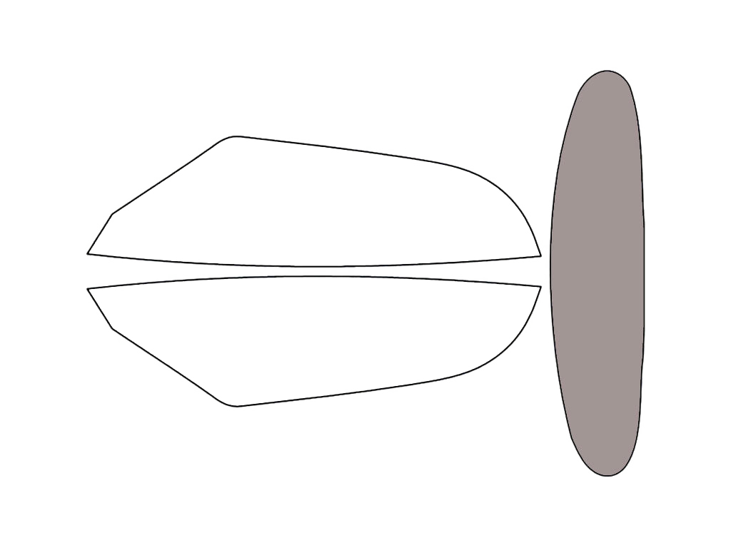 Rear Windshield - 50%
