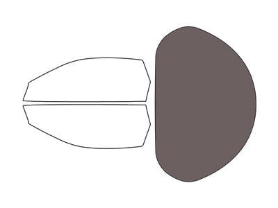 Rear Windshield - 35%