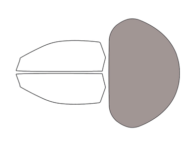 Rear Windshield - 45%