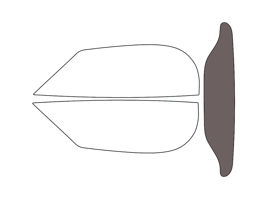 Rear Windshield - 30%