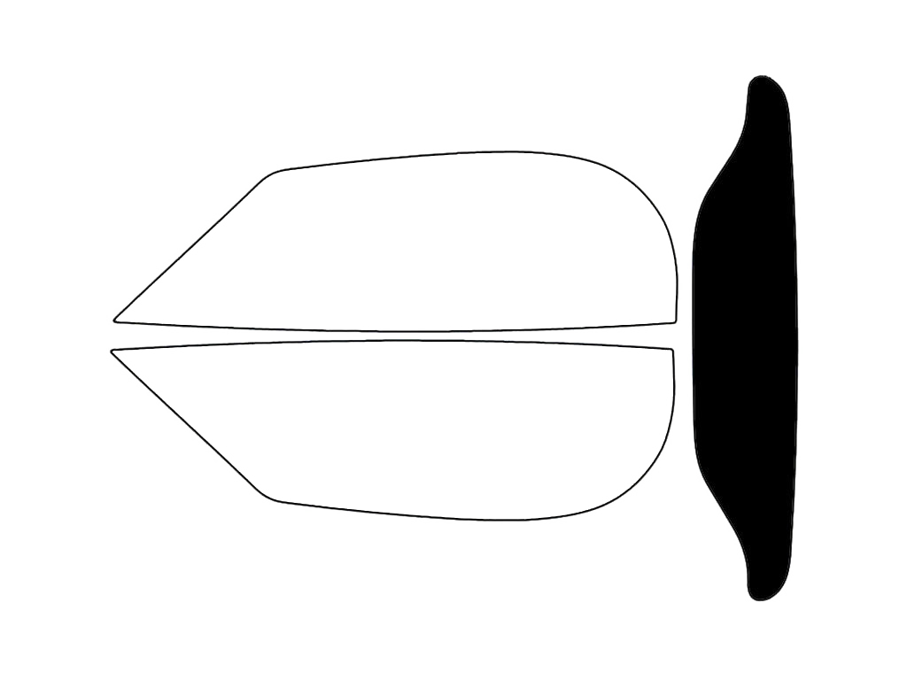 Rear Windshield - 5%