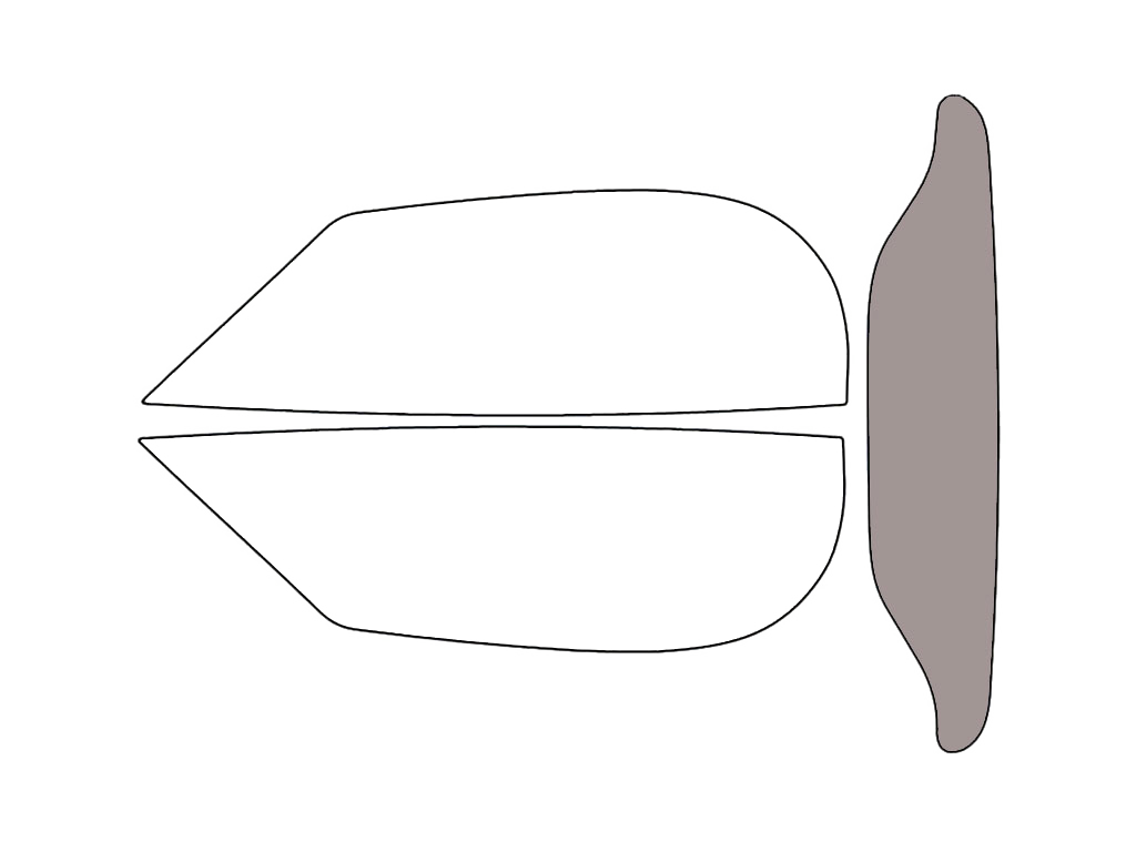 Rear Windshield - 50%