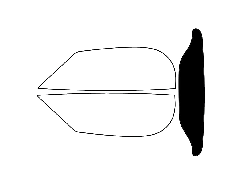 Rear Windshield - 5%