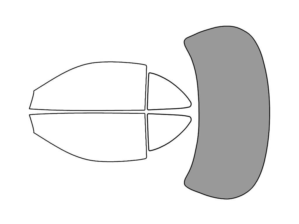 Rear Windshield - 45%