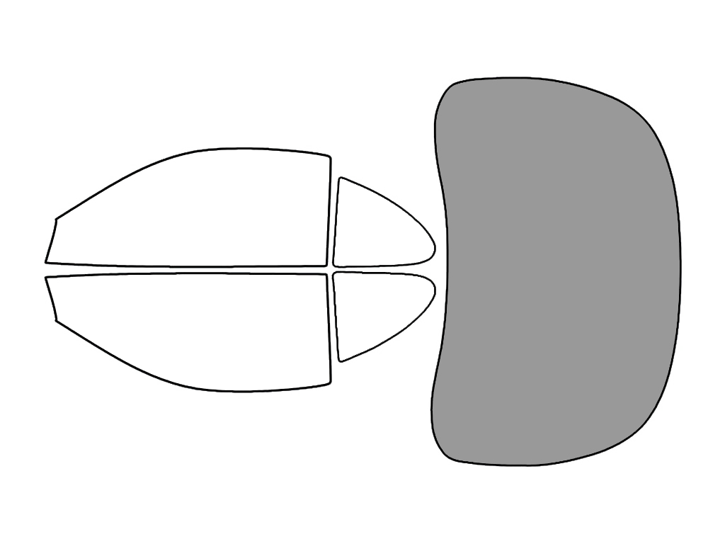 Rear Windshield - 45%