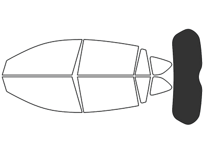 Rear Windshield - 20%