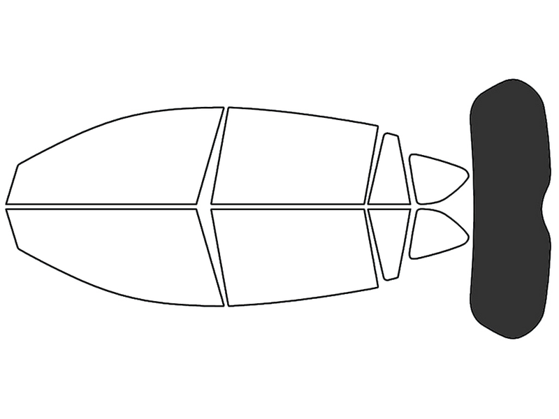 Rear Windshield - 20%