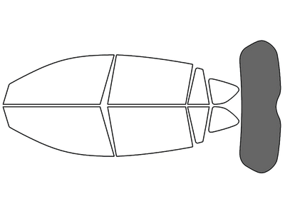 Rear Windshield - 35%
