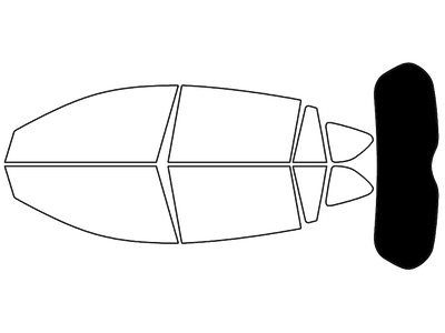 Rear Windshield - 5%