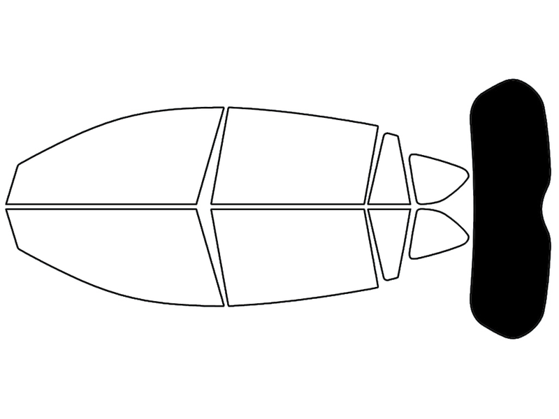 Rear Windshield - 5%