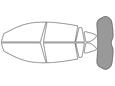 Rear Windshield - 50%