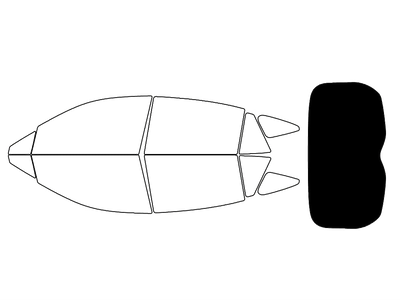 Rear Windshield - 5%