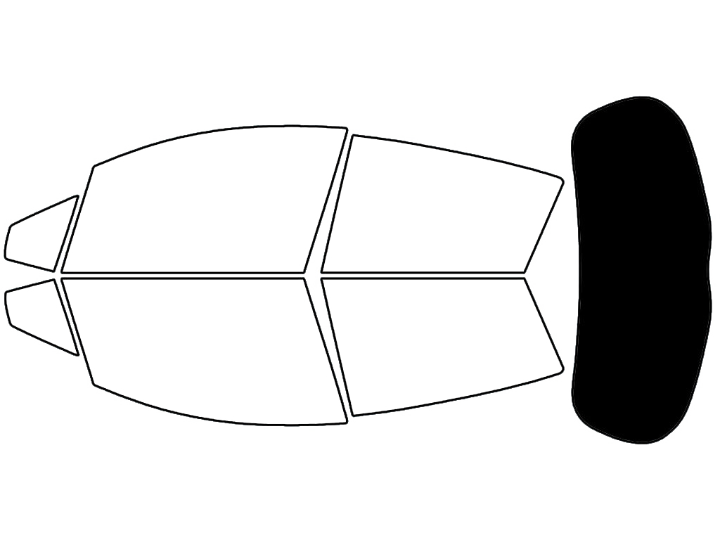 Rear Windshield - 5%