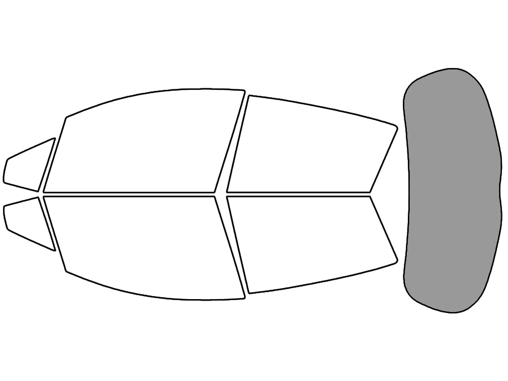Rear Windshield - 45%