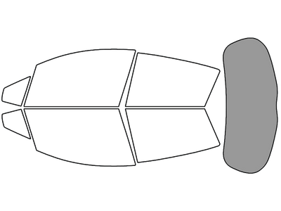 Rear Windshield - 45%