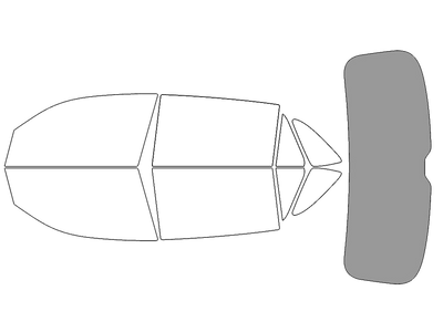 Rear Windshield - 45%