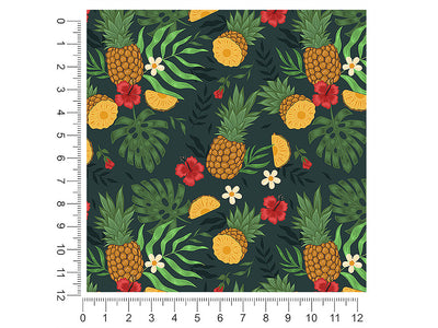 abacaxi slices fruit 1ft x 1ft Craft Sheets