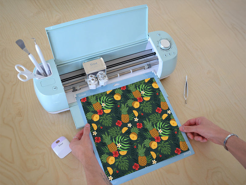 abacaxi slices fruit Cricut Compatible Vinyl