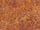 Rdash™ Chrysler Town and Country 2008-2010 Woodgrain Dash Kits
