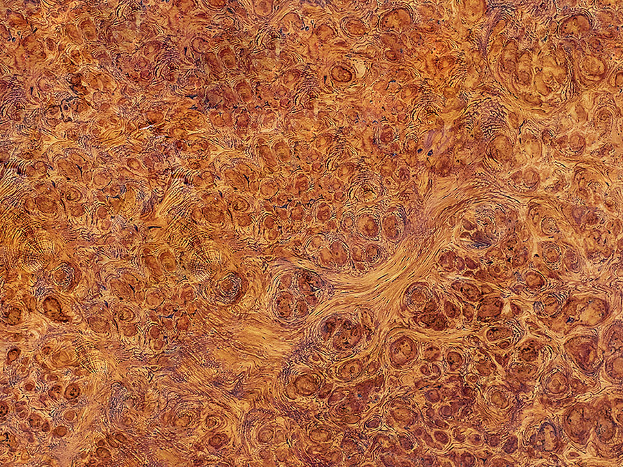 Rdash™ Ford Explorer 2020-2025 Woodgrain Dash Kits