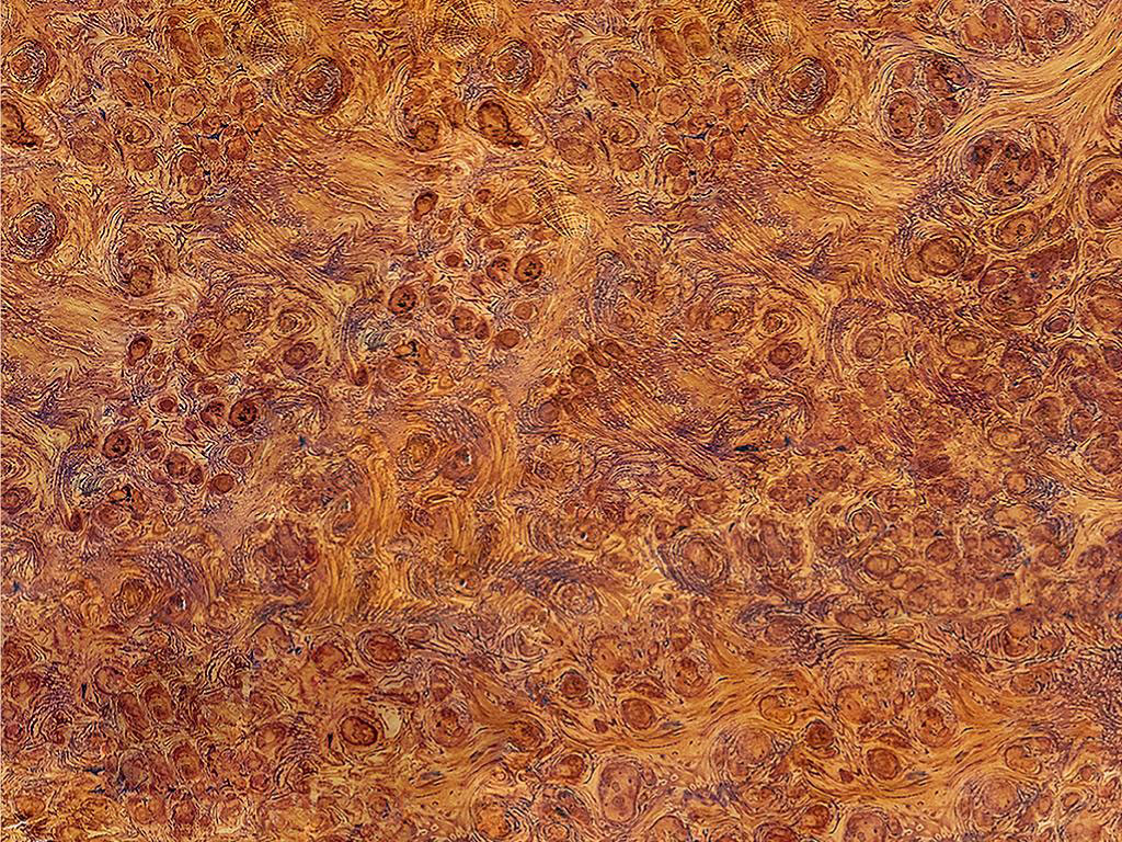Rwraps™ Afzelia Burlwood Wood Grain Vinyl Wrap | Car Wrap Film