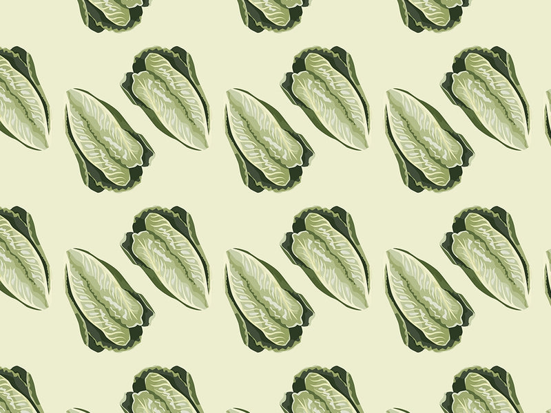 All Season Romaine Vegetable Vinyl Wrap Pattern~Rwraps Series 914 Digitally Printed Vinyl Wrap~0
