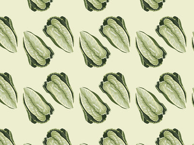All Season Romaine Vegetable Vinyl Wrap Pattern~Rwraps Series 914 Digitally Printed Vinyl Wrap~0
