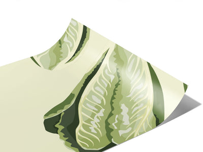 All Season Romaine Vegetable Vinyl Wraps~Rwraps Series 914 Digitally Printed Vinyl Wrap~0