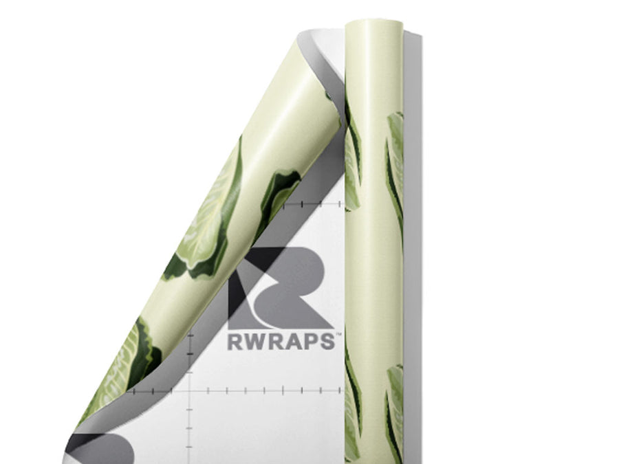 All Season Romaine Vegetable Wrap Film Sheets~Rwraps Series 914 All Season Romaine Vegetable Scrolled Sheet~3