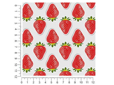 allstar dessert fruit 1ft x 1ft Craft Sheets